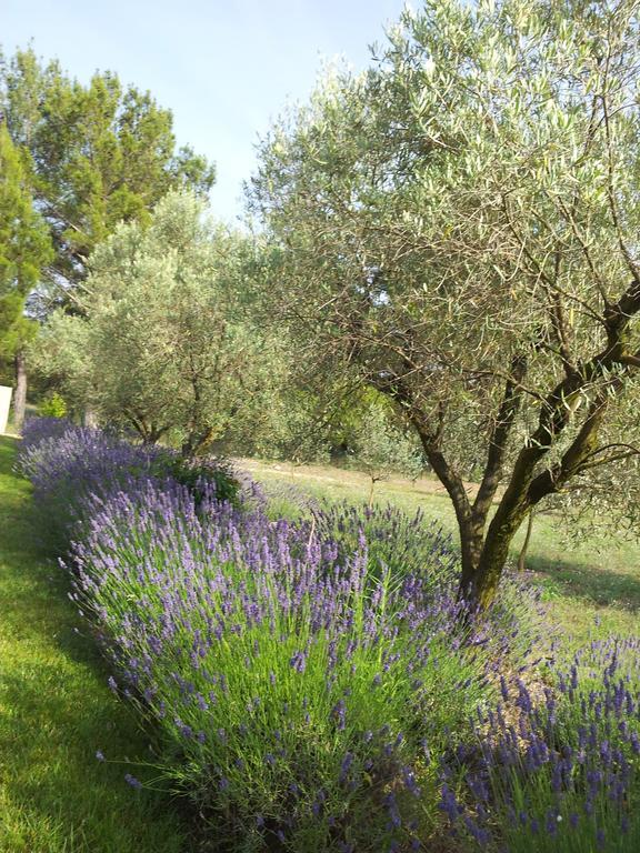 Apartament L'Amanderaie Piscine Privee A Cote De Lourmarin Luberon Cadenet Pokój zdjęcie